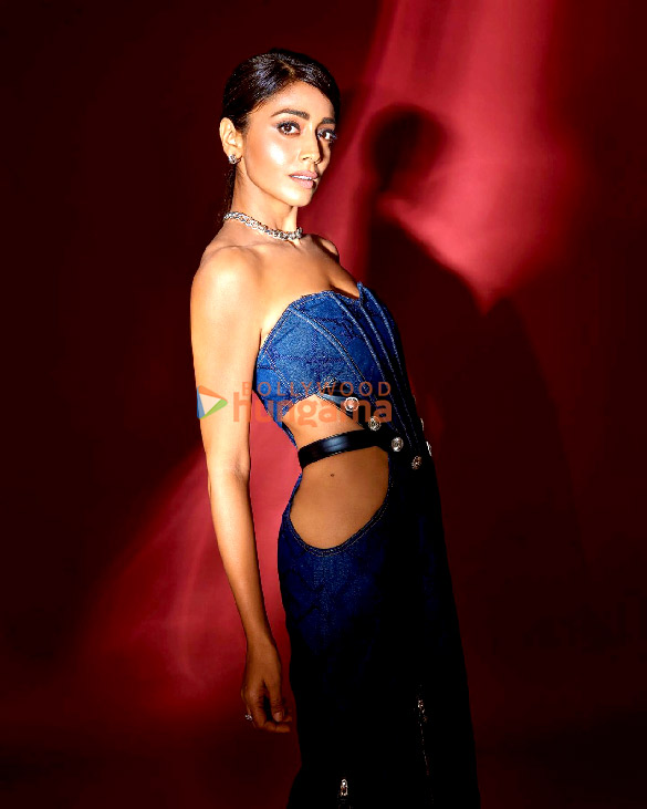 shriya saran 3 59