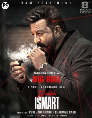 hindi movie list 2024 imdb