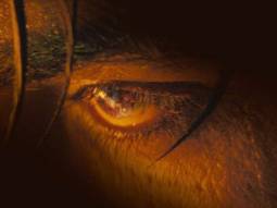 Guess who? Jawan makers drop a brief first look of their next character; fans guess that it is Vijay Sethupathi