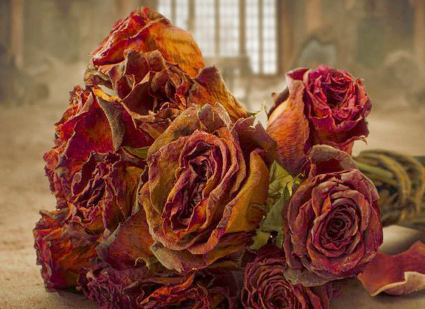 Prime Video announces the second season of Made In Heaven!