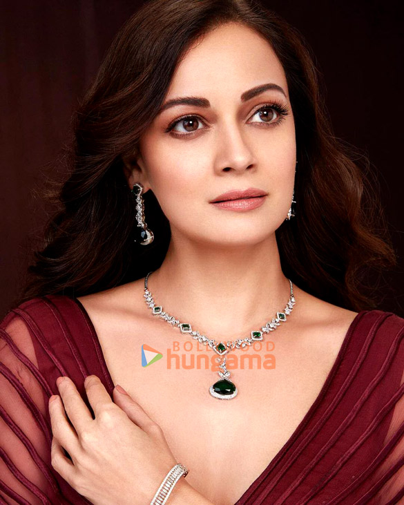 dia mirza 2 66