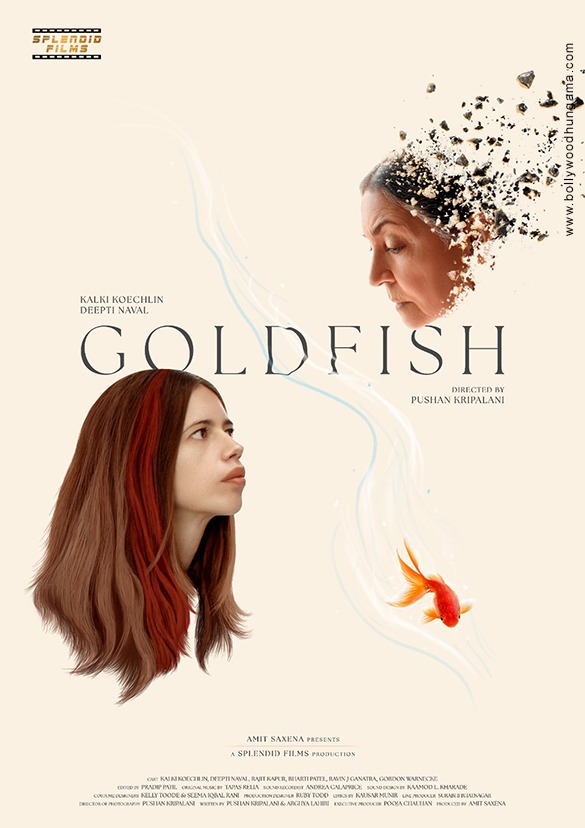goldfish 2