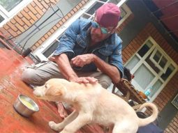 International Dog Day: Jackie Shroff shares a heartfelt video urging to adopt and rescue dogs, watch