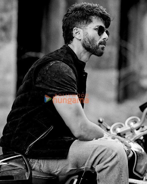 shahid kapoor 5 29