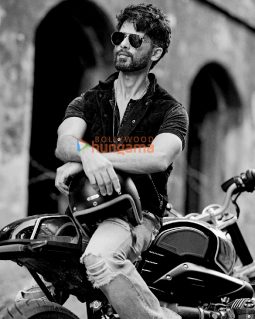 Celeb Photos Of Shahid Kapoor