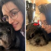 International Dog Day: Shraddha Kapoor shares a goofy video of furball Shyloh; says, "No more hairstyle experiments on you"