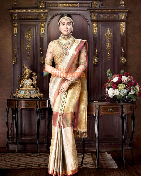 shriya saran 2 84