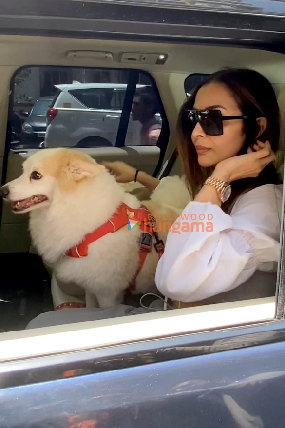 photos malaika arora snapped with her dog in bandra 1