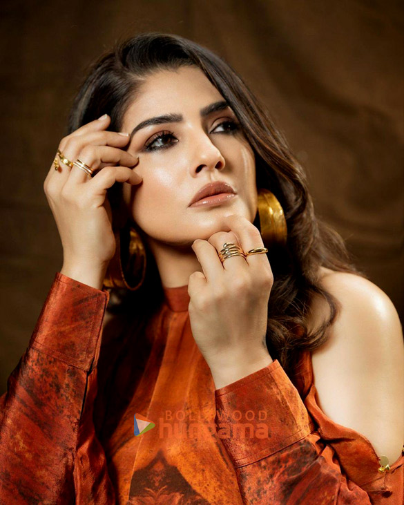 raveena tandon 3 41