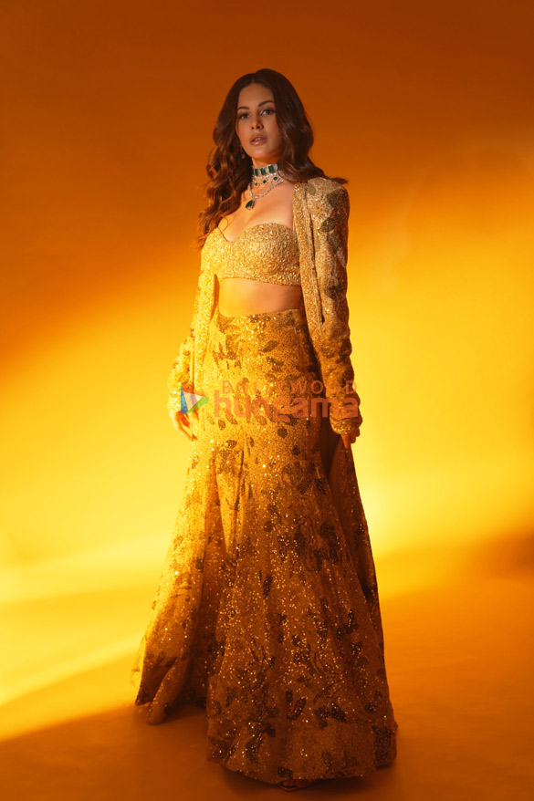 amyra dastur 5 11