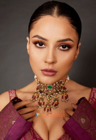 Celeb Photos Of Shehnaaz Gill