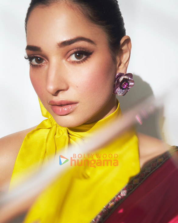 tamannaah bhatia 5 33