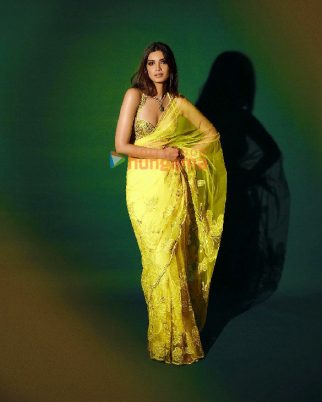 Celeb Photos Of Diana Penty