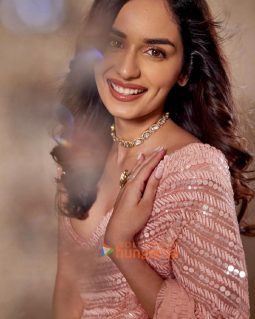 Celeb Photos Of Manushi Chhillar