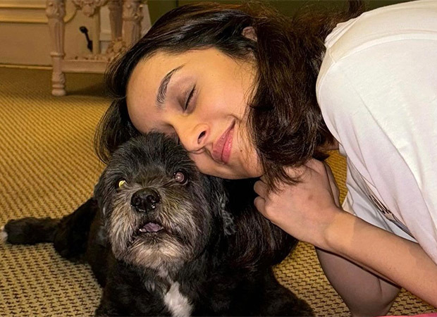 Shraddha Kapoor shares adorable ‘Moye Moye’ moment with furry friend; see post