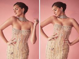 Tara Sutaria brings on the glam game to Apurva premiere in stunning sheer embellished bodycon gown