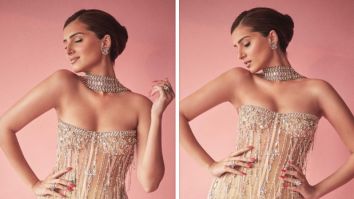 Tara Sutaria brings on the glam game to Apurva premiere in stunning sheer embellished bodycon gown