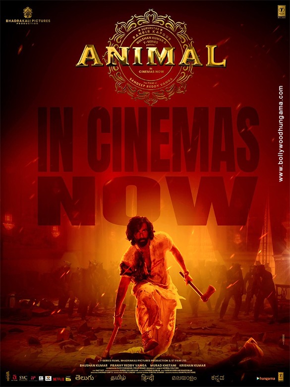 animal 28