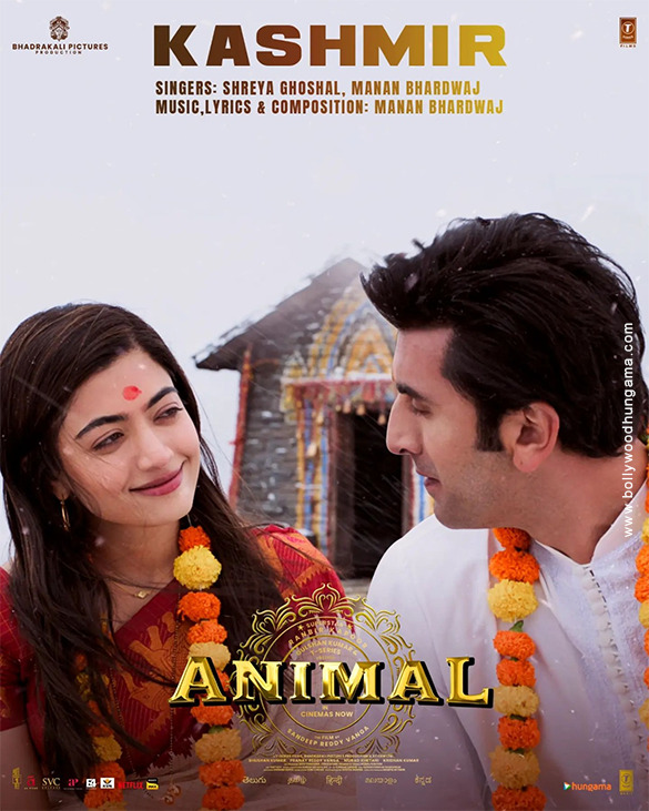 animal 2 13