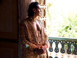Dino Morea