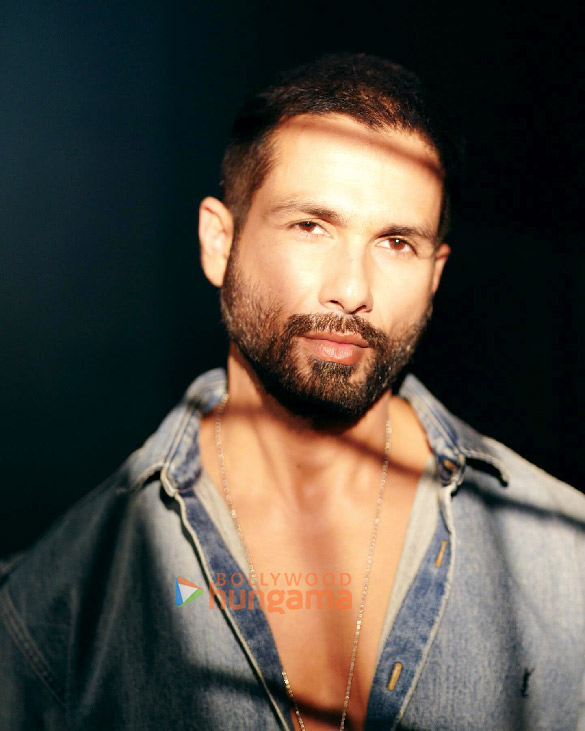 shahid kapoor 3 65