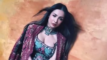 Wow! Malaika Arora sizzles in the gorgeous outfit