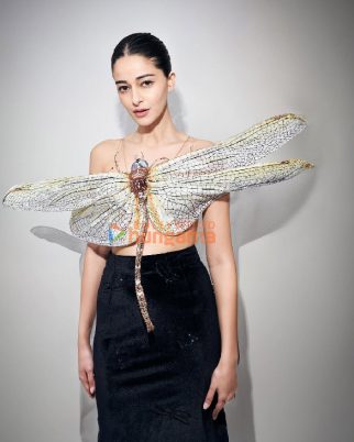 Celeb Photos Of Ananya Panday