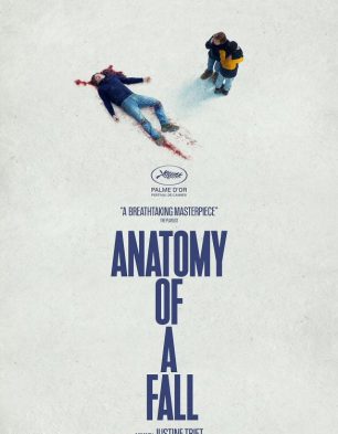Anatomy of a Fall (English)