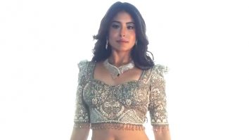 Kritika Kamra is all glamed up in this mesmerizing lehenga
