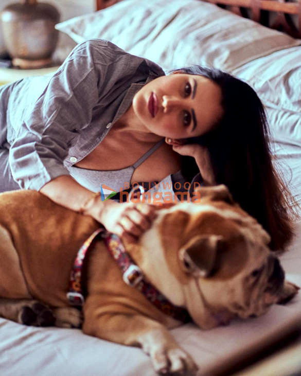 sonnalli seygall 4 18