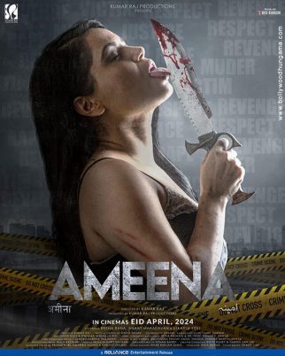Ameena poster