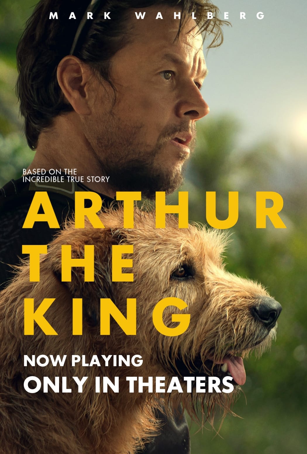 Arthur The King (English) Movie Music Arthur The King (English) Movie