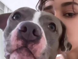 Disha Patani shows off her perfect curves as she chills with her doggo