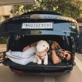 Kartik Aaryan purchases a new swanky luxurious ride Range Rover SV worth Rs. 6 crore, shares new photo with pet dog Katori