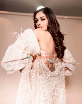 Celeb Photos Of Manushi Chhillar