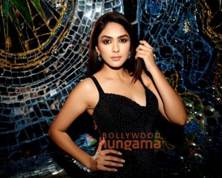 Celeb Photos Of Mrunal Thakur