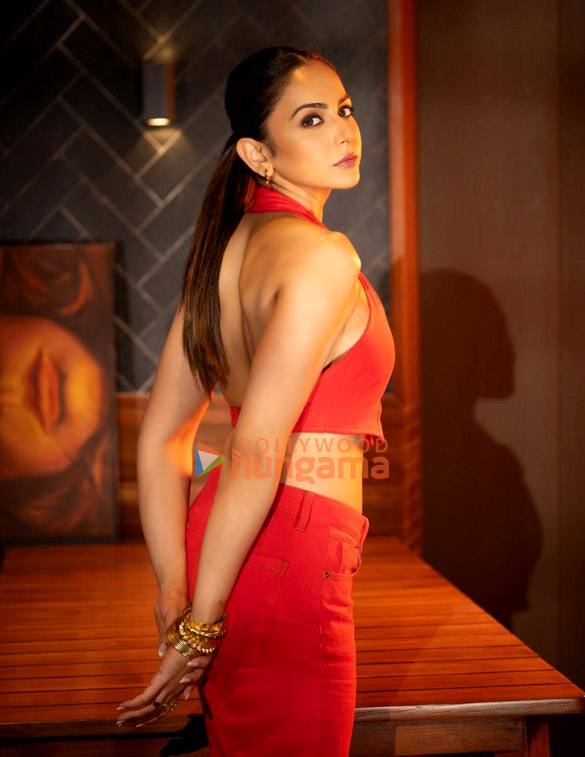 rakul preet singh 2 343