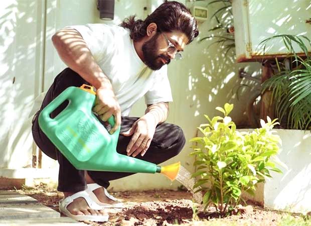 Allu Arjun shares special post on Earth Day; showcases his support towards environmental causes