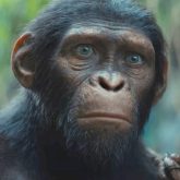 Kingdom of the Planet of the Apes sneak peek shows Noa saving a young girl amid apes hunting humans, watch