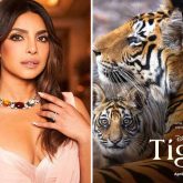 Priyanka Chopra on turning narrator for Tiger “I had so much fun lending my voice to this incredible story and exploring the jungles through this film”