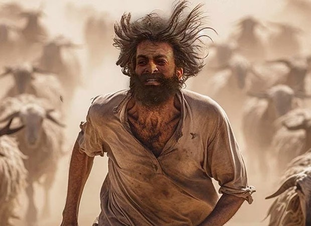 Prithviraj Sukumaran on his physical transformation for The Goat Life, “I had to lose around 30 kgs twice” Prithviraj Sukumaran on his physical transformation for The Goat Life, “I had to lose around 30 kgs twice”