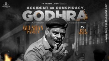 Accident or Conspiracy: Godhra poster