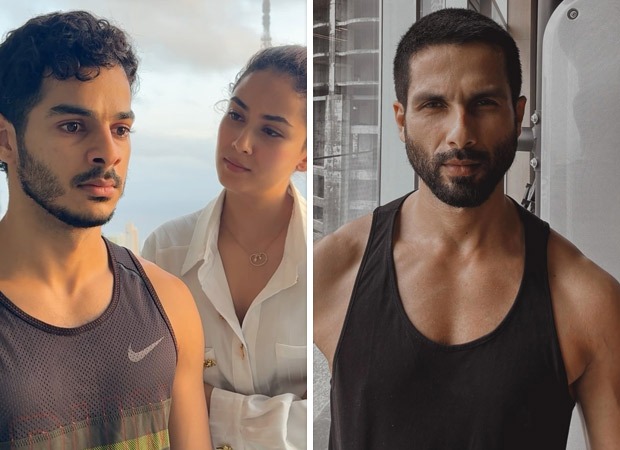 Mira Rajput and Ishaan Khatter recreate viral meme, Shahid Kapoor shows love; watch 