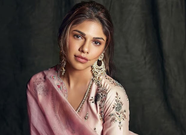 Sharmin Segal talks about fans disliking her performance in Heeramandi: “I did put in a lot of hard work”