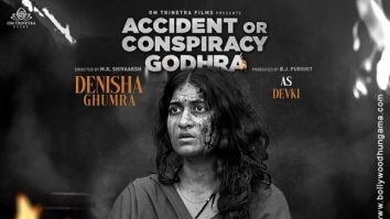Accident or Conspiracy Godhra poster