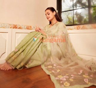 Celeb Photos Of Dia Mirza