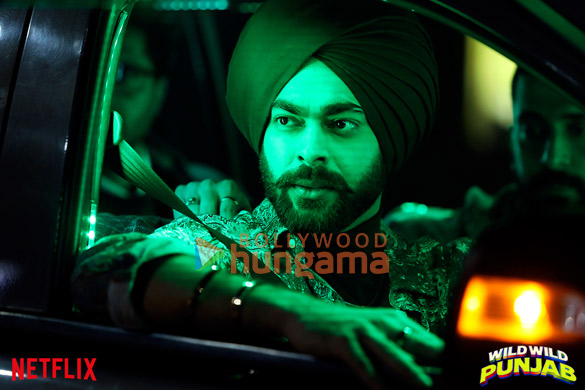 wild wild punjab 28 24