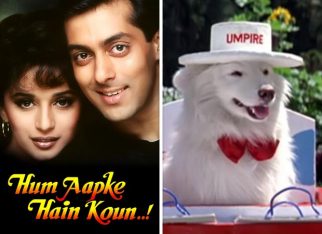 30 years of HAHK: Two dogs played the pet Tuffy in the Salman Khan-Madhuri Dixit starrer