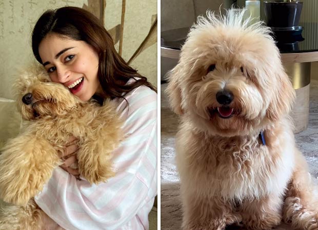 Ananya Panday's morning adventures includes snuggles with her pup Riot, see photo 