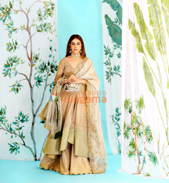genelia deshmukh 2 12